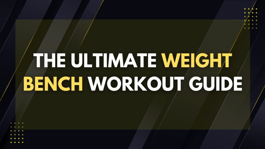 weight bench workout guide