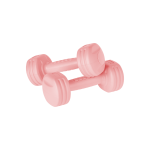 bitumen dumbbells - 2 x 1kg