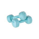 bitumen dumbbells 2 x 2kg