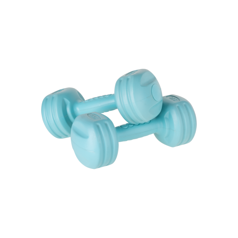 bitumen dumbbells 2 x 2kg