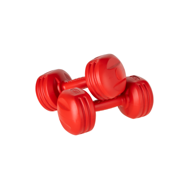 bitumen dumbbells 2 x 3kg