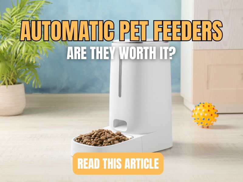 are automatic pet feeders worth it?