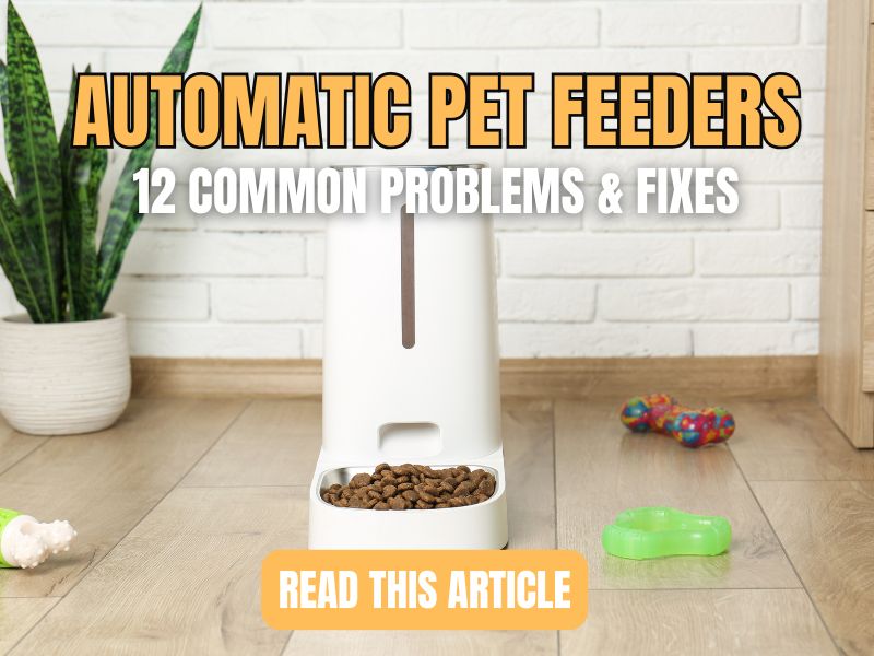 automatic pet feeder problems and fixes