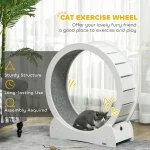 cat wheel
