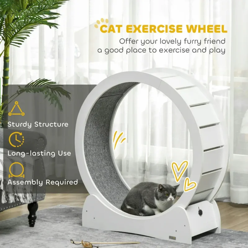 cat wheel