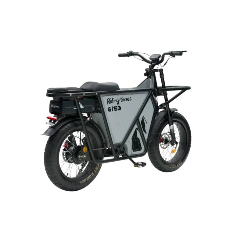 electric bike