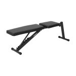 Rebel Active RBA-2003-S Adjustable Training Bench